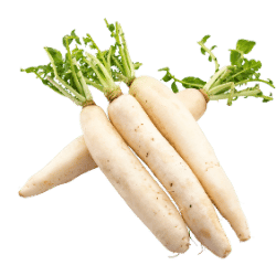 Radish