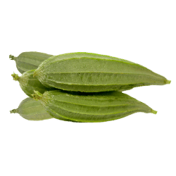 Ridge Gourd