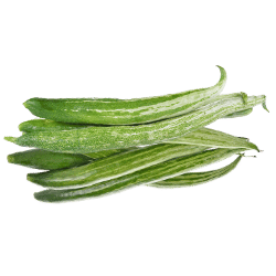 Sponge Gourd