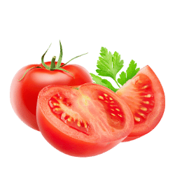 Tomato