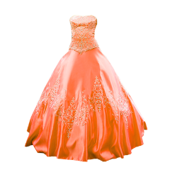 Gown