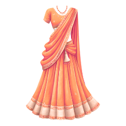 Saree Sari