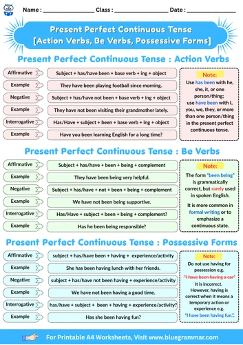 Present Perfect Continuous Tense Worksheet Preview