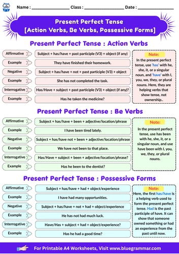Present Perfect Tense Worksheet Preview