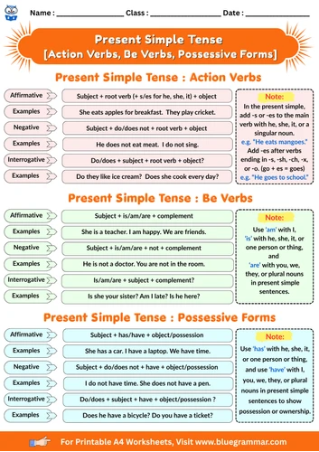 Present Simple Tense Worksheet Preview