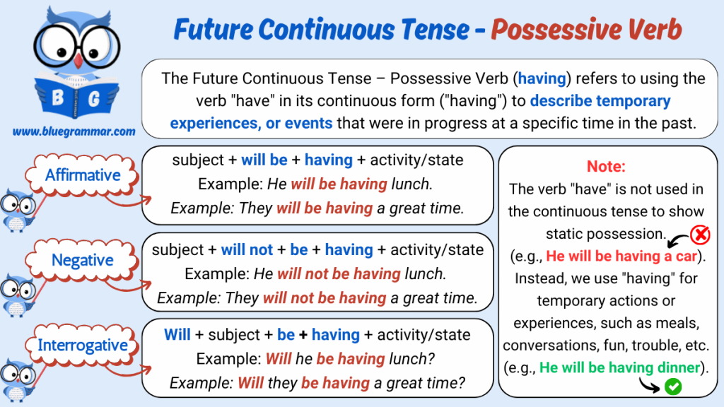 Future Continuous Tense - Possessive Verb (have)