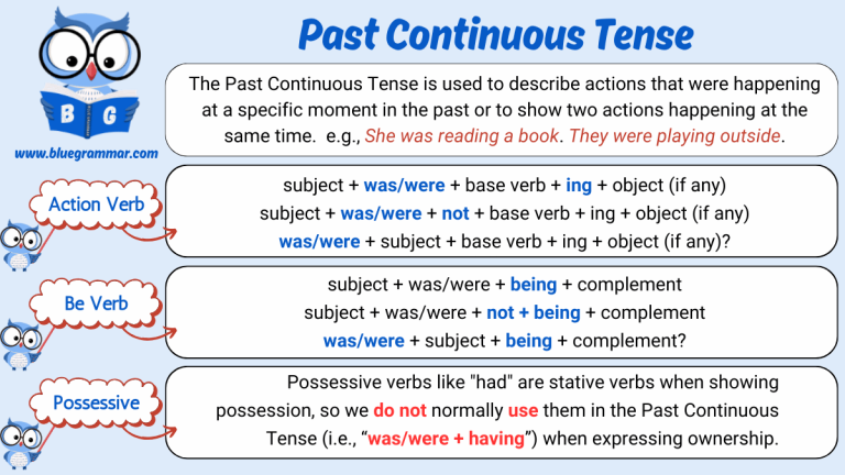 Infographic explaining the Past Continuous Tense with action verbs, be verbs, and possessive verbs, including rules and sentence structures for affirmative, negative, and interrogative forms.