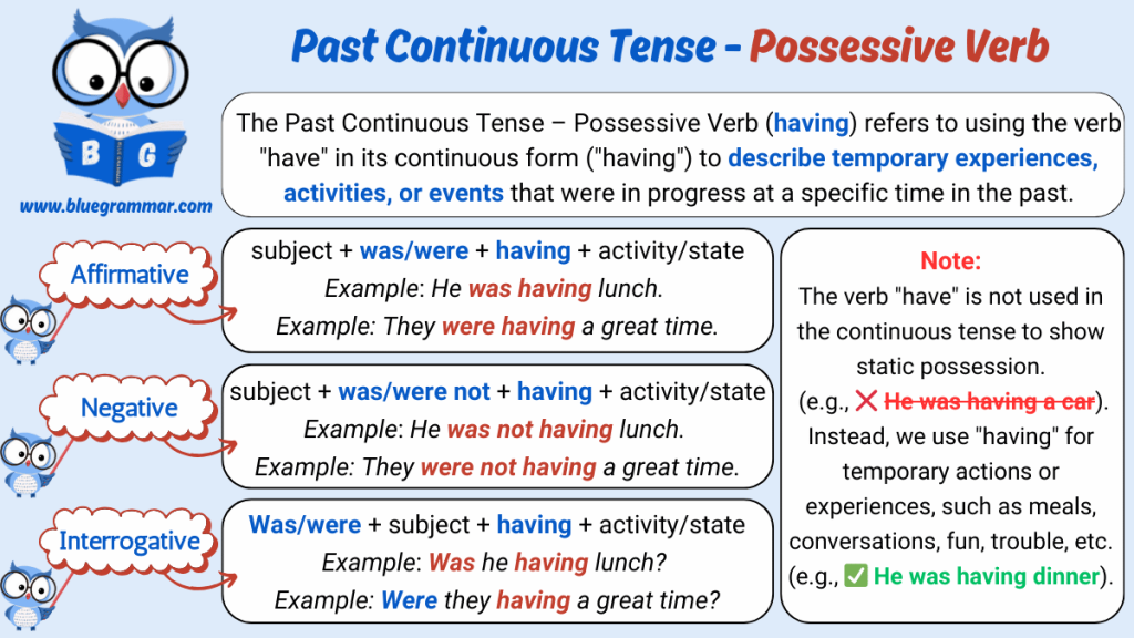 Past Continuous Tense - Possessive Verb (have)