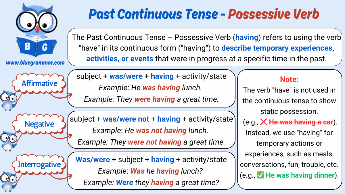 Past Continuous Tense with the Verb Have Chart