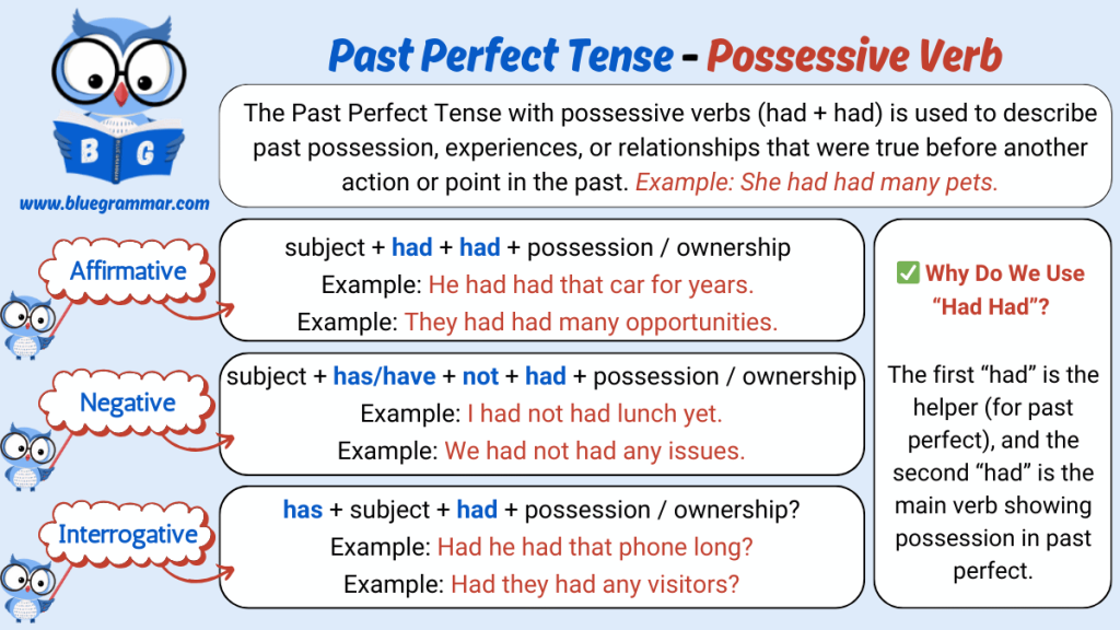 Past Perfect Tense - Possessive Verb (have)