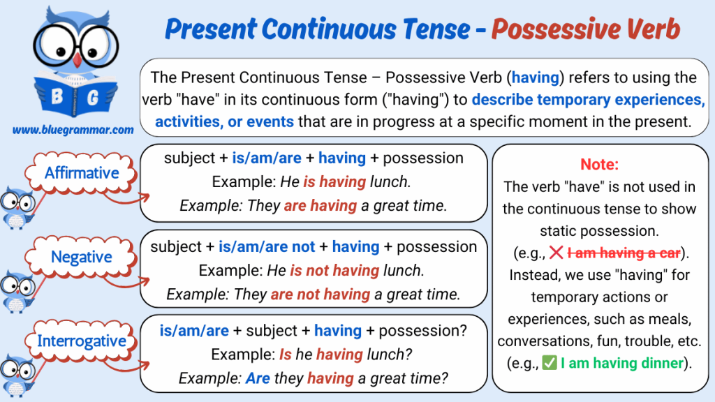 Present Continuous Tense - Possessive Verb (have)