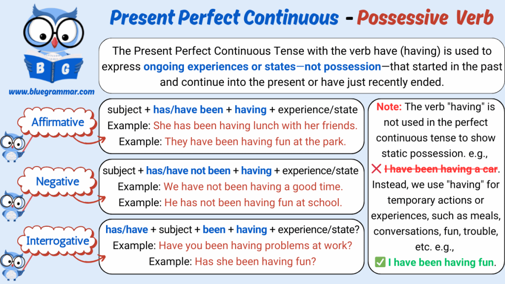 Present Perfect Continuous - Possessive Verb (have)