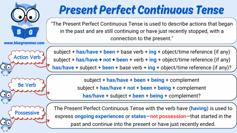 Present Perfect Continuous Tense [Action Verb, Be Verb, Possessive]