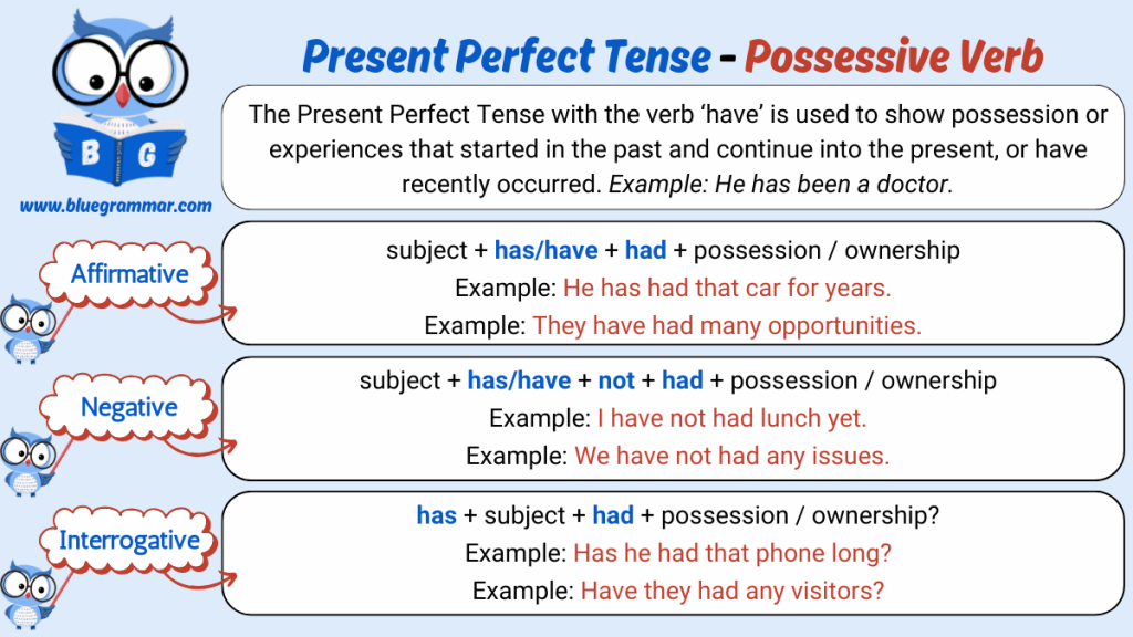 Present Perfect Tense - Possessive Verb (have)