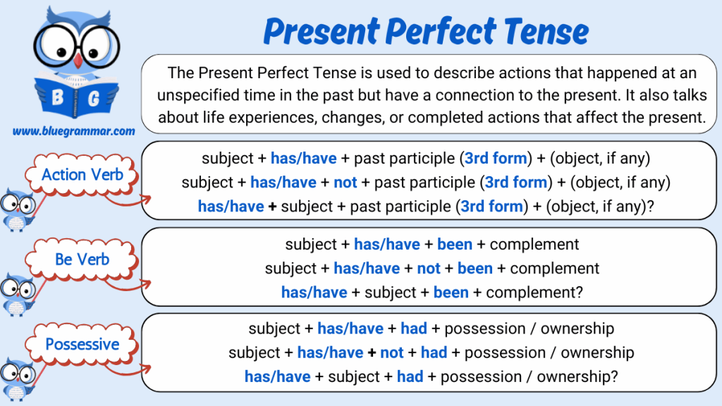 Present Perfect Tense in English
