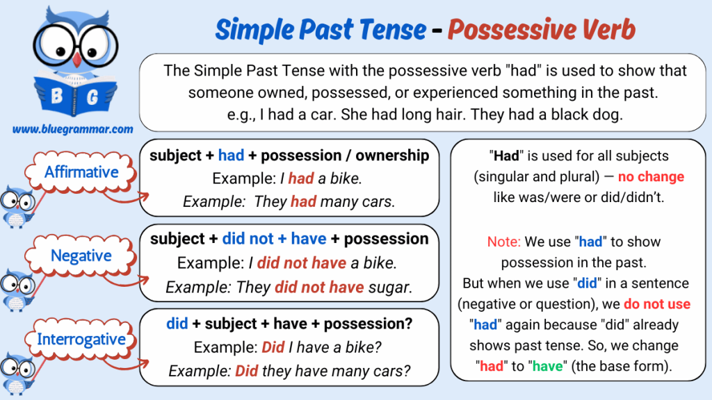 Simple Past Tense - Possessive Verb (have)