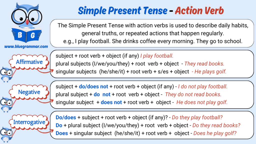 Simple Present Tense - Action Verb