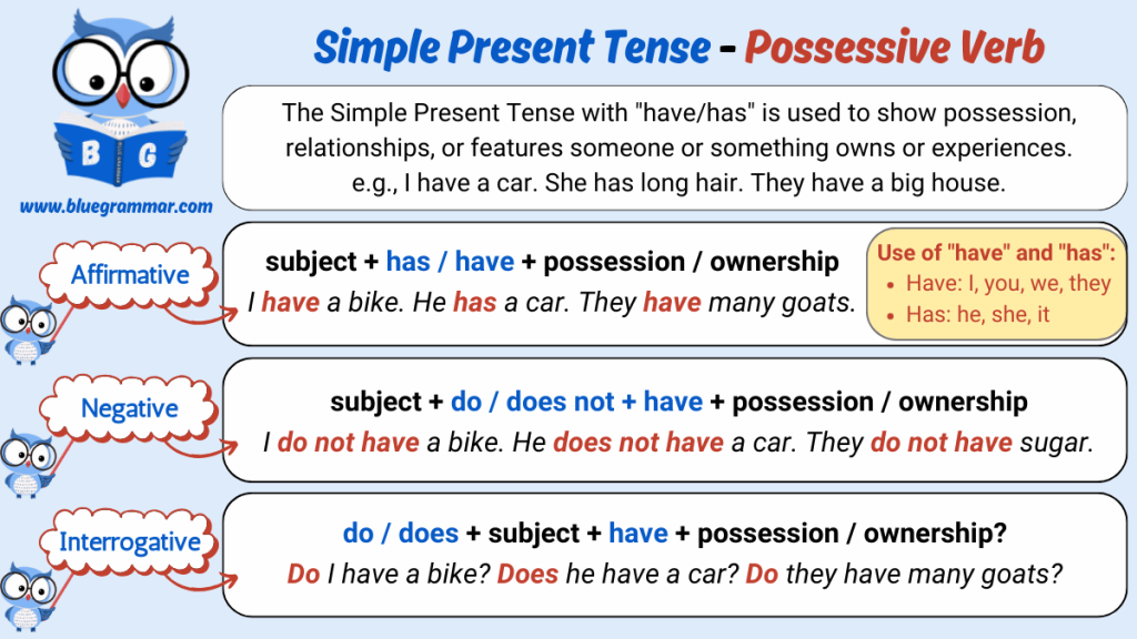 Simple Present Tense - Possessive Verb Have