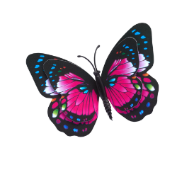 Insect-Butterfly
