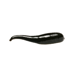 Insect-Leech