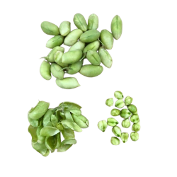 Raw Green Chickpeas images