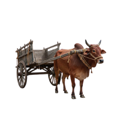 Bull Cart