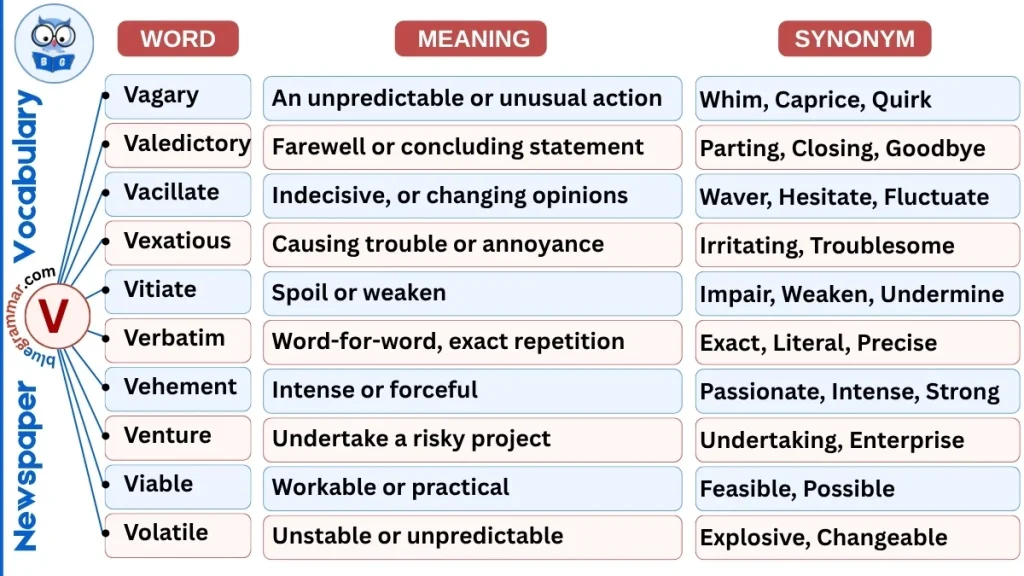 10 Newspaper Vocabulary Words Starting with V
