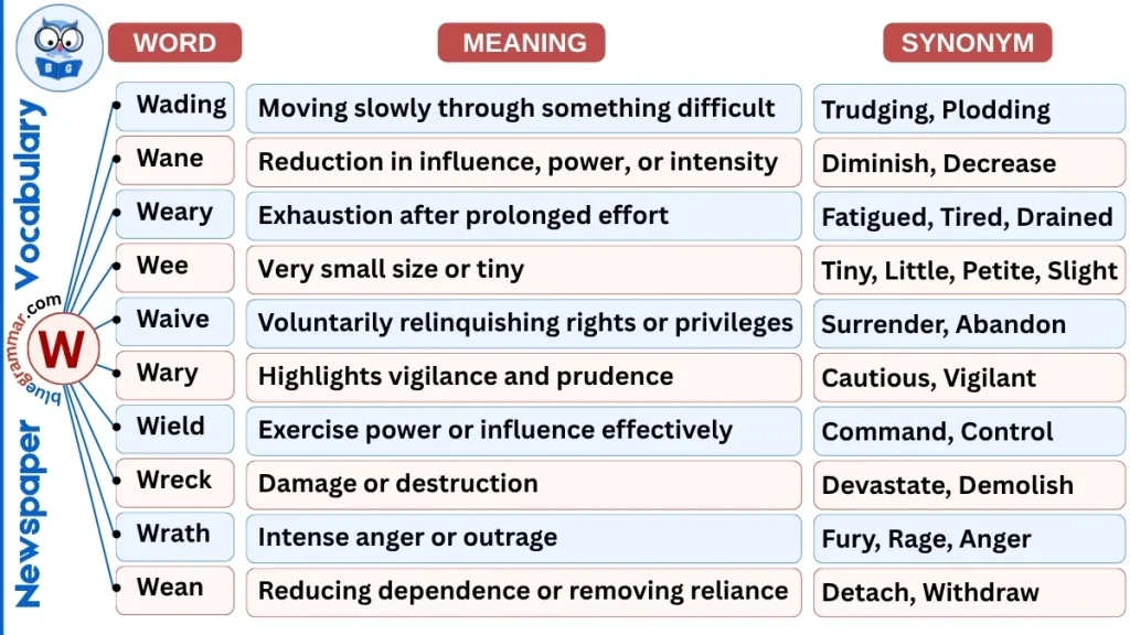 10 Newspaper Vocabulary Words Starting with W