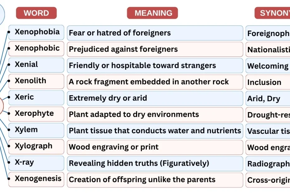 10 Newspaper Vocabulary Words Starting with X