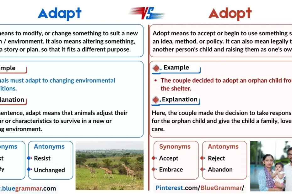 Adapt vs Adopt