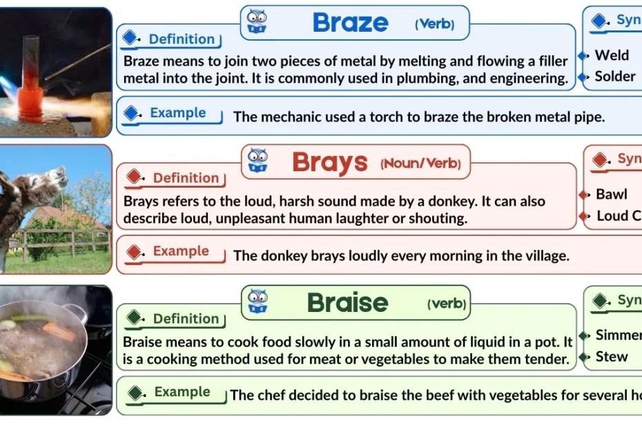 Braze vs. Brays vs. Braise | Word Comparison with Examples