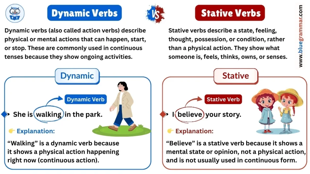 Dynamic (Action) Verbs vs Stative Verbs (With Clear Examples)