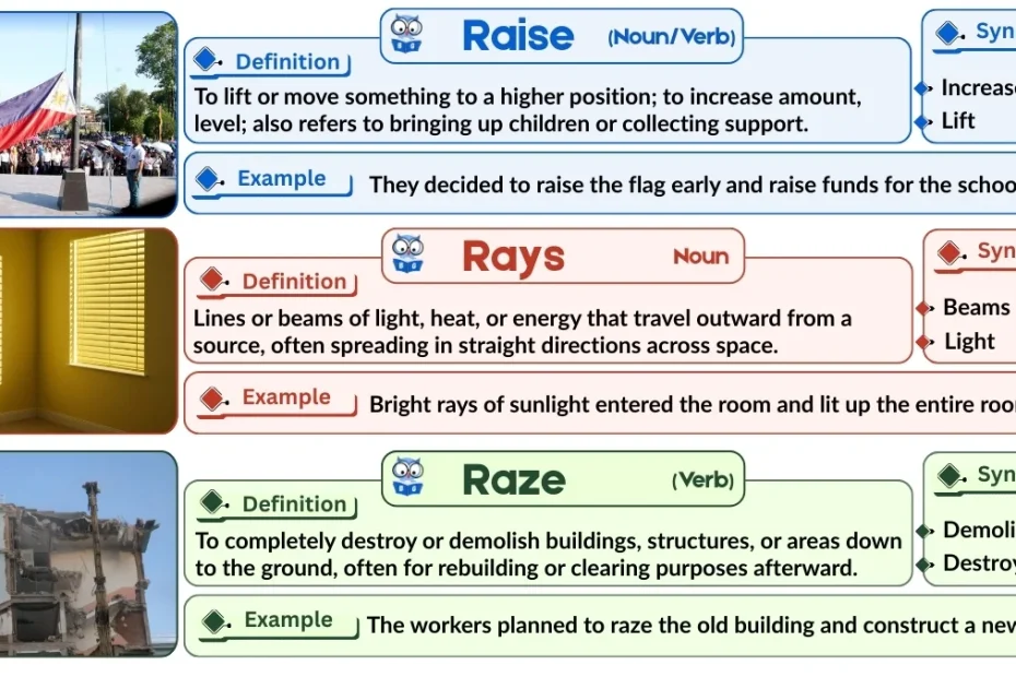 Raise vs. Rays vs. Raze | Word Comparison with Examples