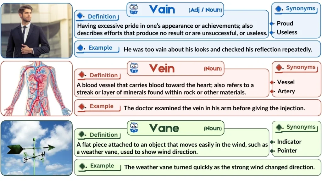 Vain vs. Vein vs. Vane | Word Comparison