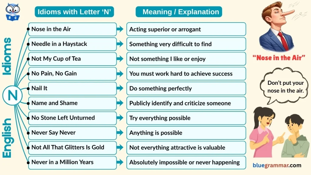 Idioms Starting with Letter N (Meanings and Examples) | Nose in the Air