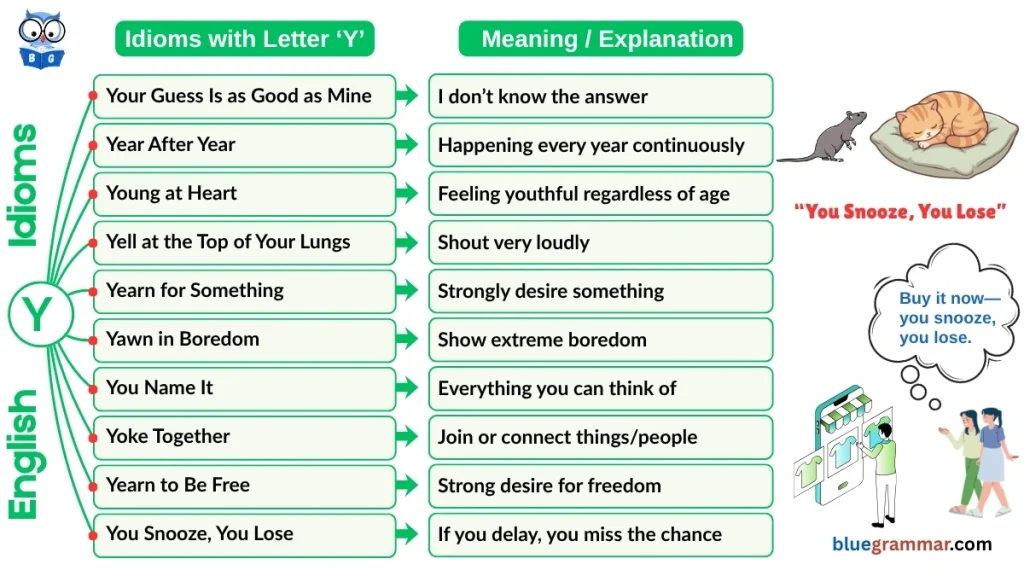 Idioms Starting with Letter Y (Meanings and Examples) | You Snooze, You Lose