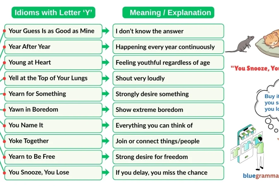 Idioms Starting with Letter Y (Meanings and Examples) | You Snooze, You Lose