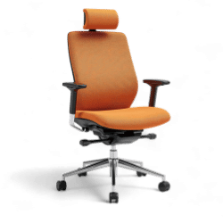 Swivel Chair