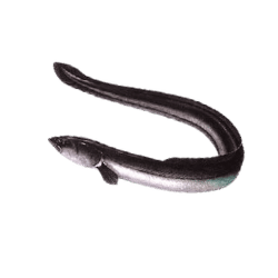 Eal