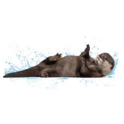 Otter