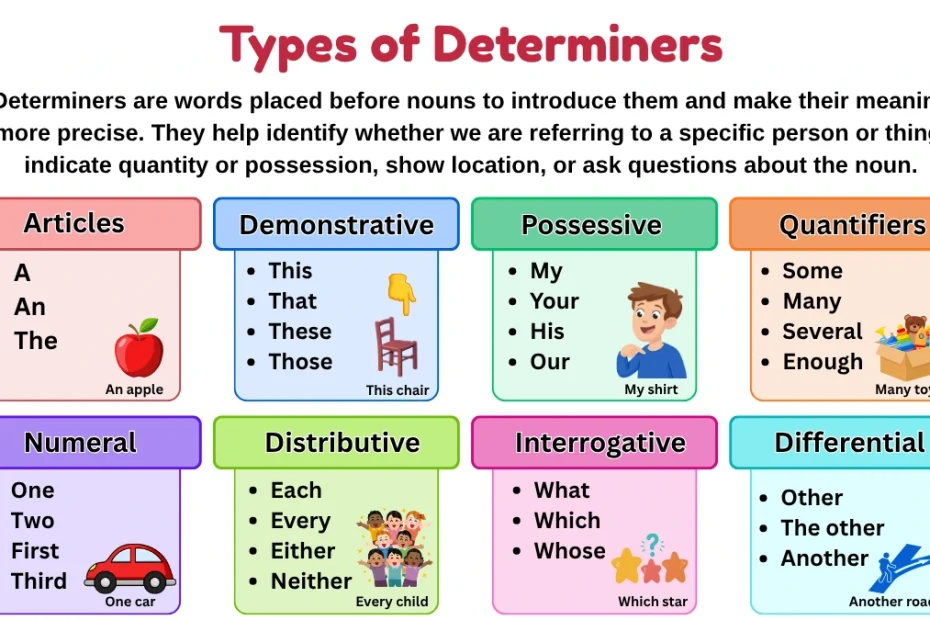 Types of Determiners in English Grammar with Examples